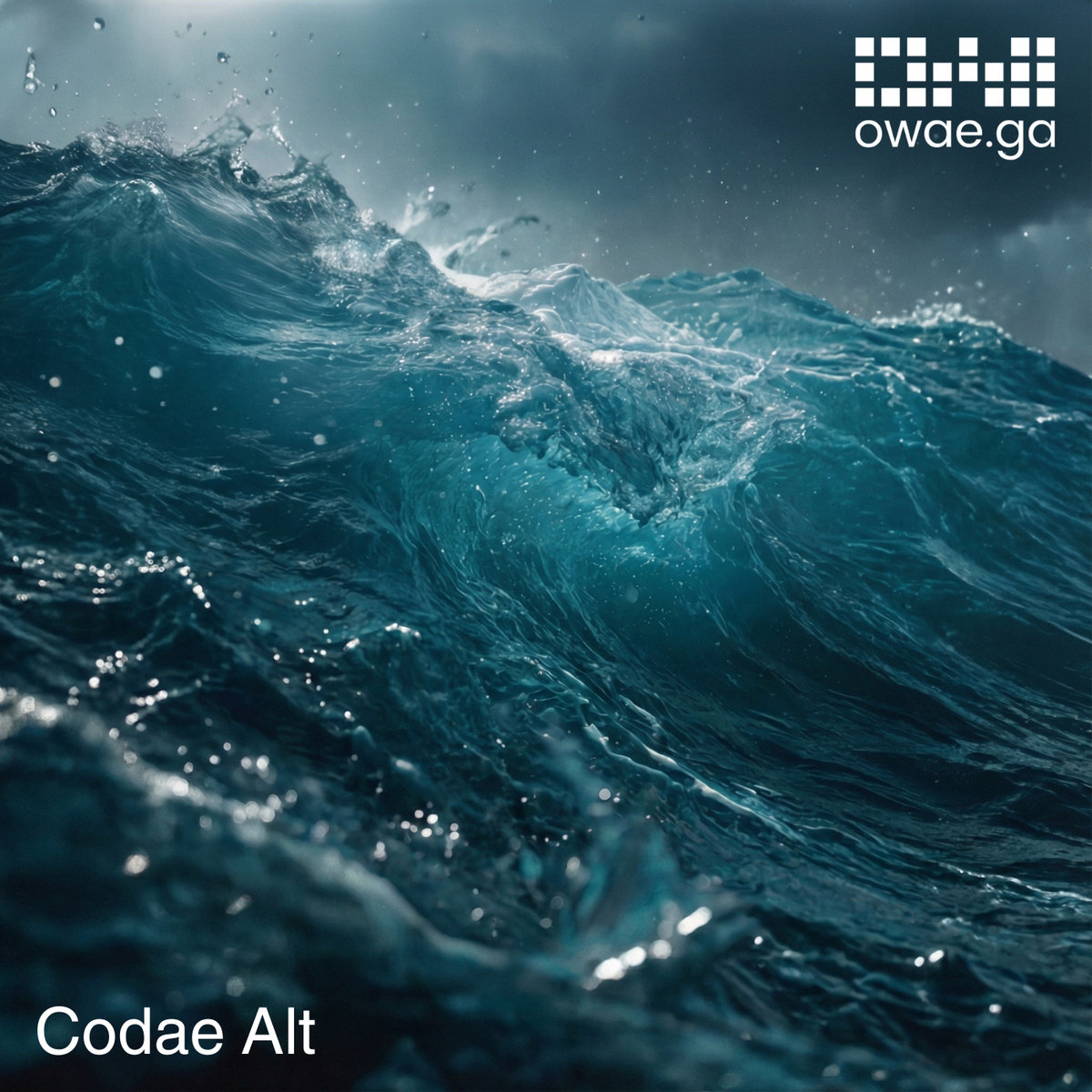 Codae Alt cover