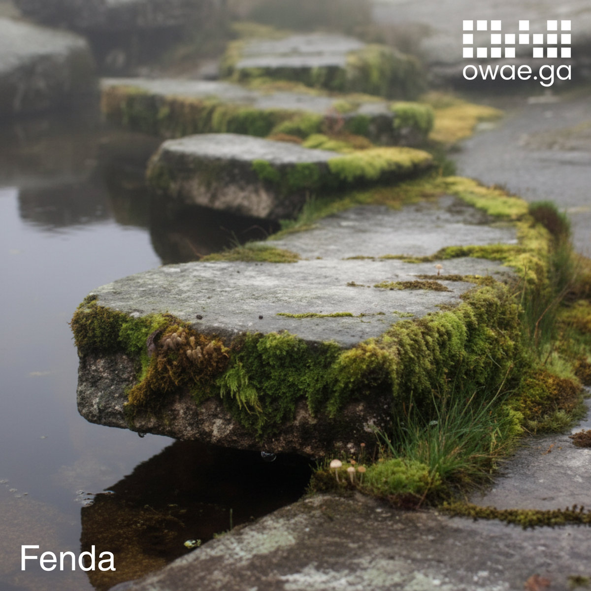 Fenda cover