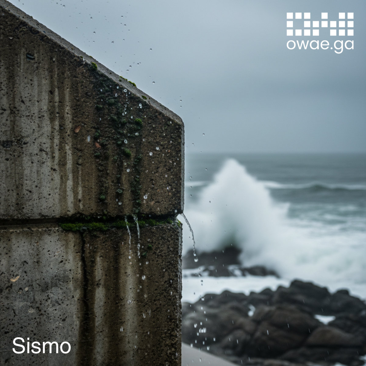 Sismo cover